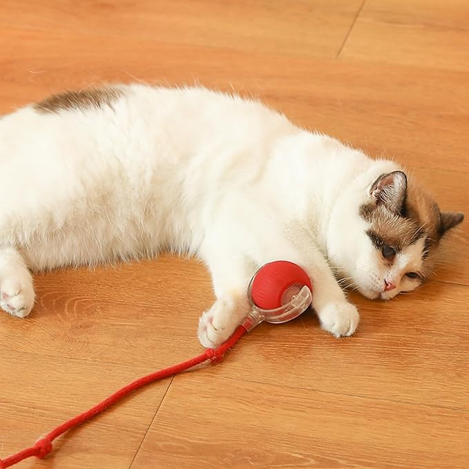 Automatic Rolling Ball with Fake Tail