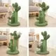 CACTUS CHATON