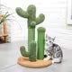 CACTUS CHATON