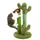 CACTUS CHATON