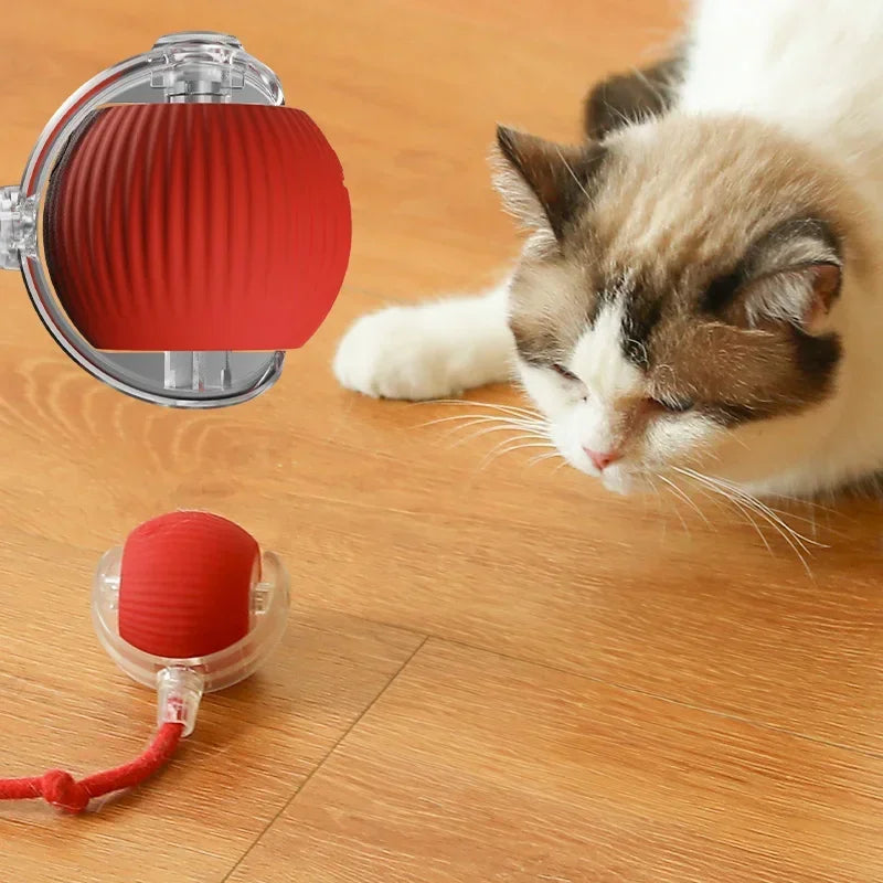 Automatic Rolling Ball with Fake Tail