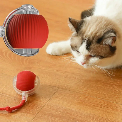 Automatic Rolling Ball with Fake Tail