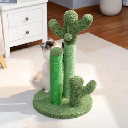 CACTUS CHATON