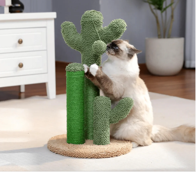 CACTUS CHATON